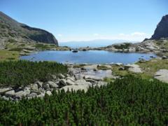 Tatranské pleso